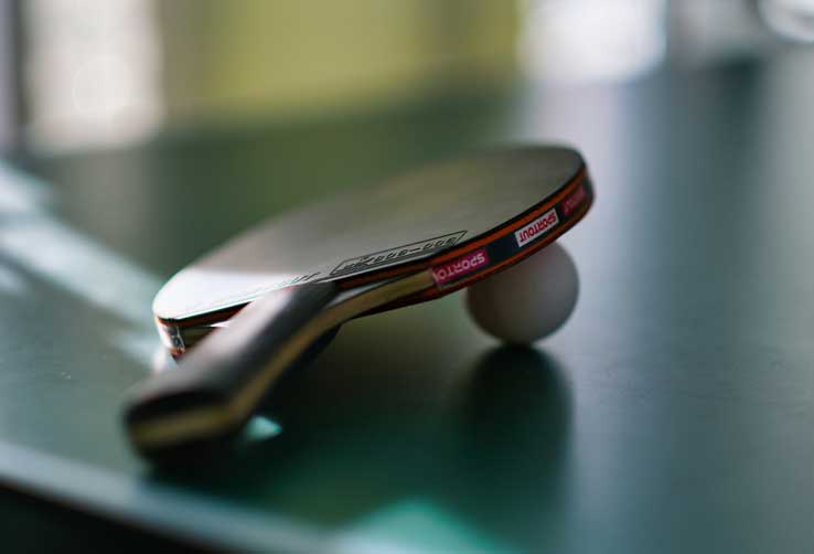 Best Ping Pong Paddle for Spin