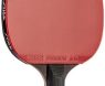 The Ultimate Ping Pong Paddle: STIGA Evolution – A Game-Changing Experience