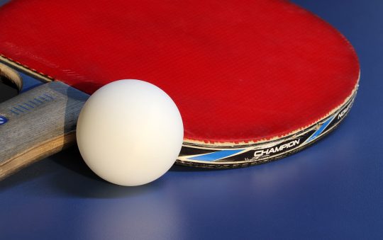 Best Ping Pong Balls: Top Picks for Superior Playability Best Ping Pong Balls: Top Picks for Superior Playability