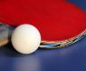 Best Ping Pong Balls: Top Picks for Superior Playability
