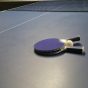 Best Outdoor Table Tennis Table: Top Picks for Durability and Playability