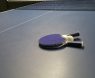 Best Outdoor Table Tennis Table: Top Picks for Durability and Playability