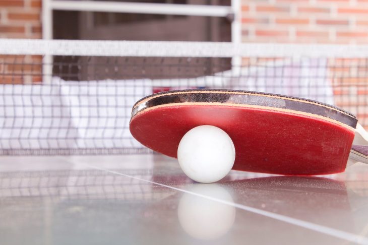 All-Around Guide to Ping Pong Paddles: Finding Your Perfect Match